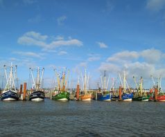 Krabbenkutter im Hafen Norddeich